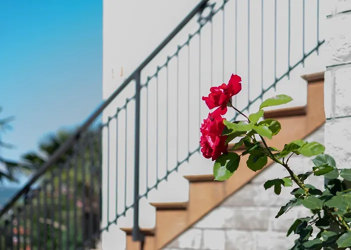 Olive Terrace Apartment Koper