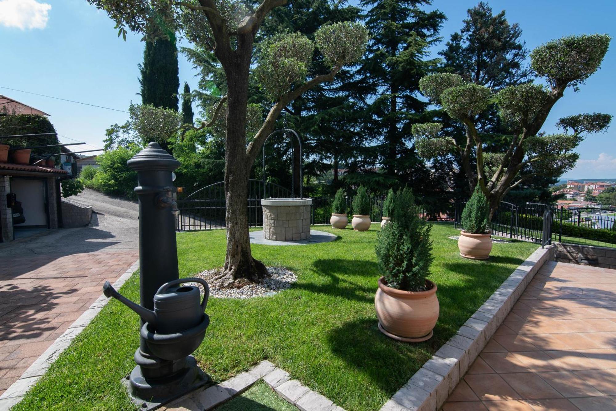 Olive Terrace Apartment *