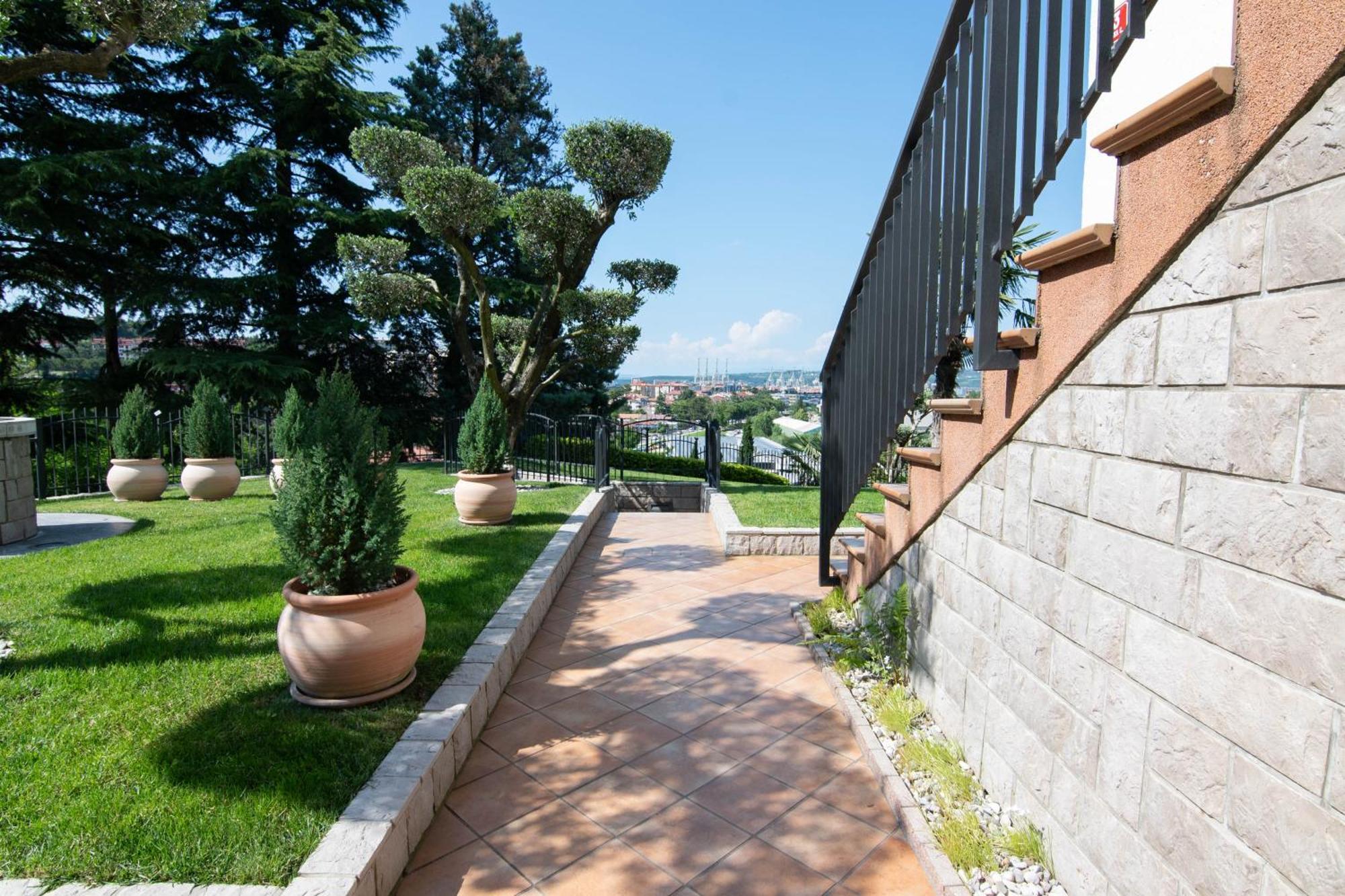Olive Terrace Koper